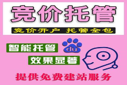 百度竞价账户托管：优化广告投放策略案例
